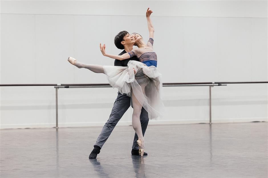 Shanghai Ballet to perform 'Camellias' for Australian audiences